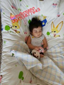 قیمت ننو ایران